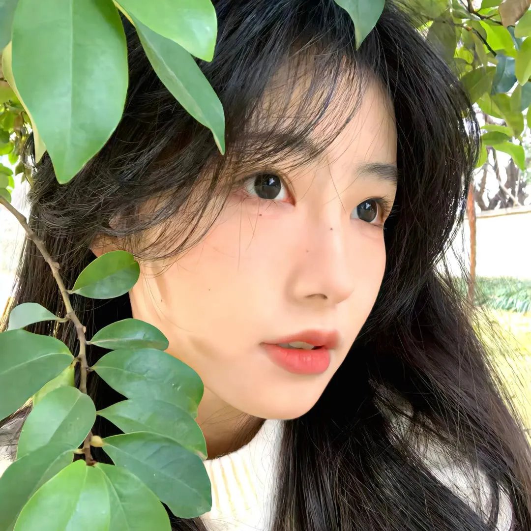 春天之旅