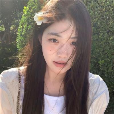 真情玫瑰